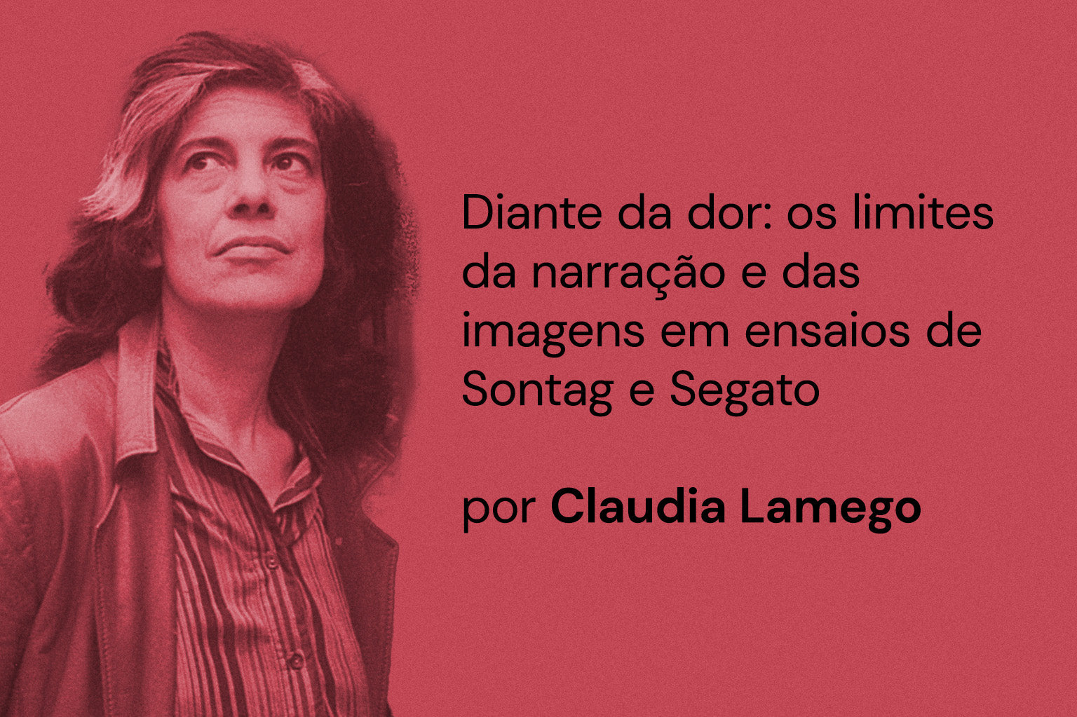 Diante da dor: os limites da narração e das imagens em ensaios de Sontag e Segato