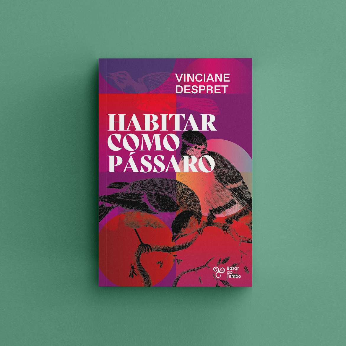 Habitar como um pássaro