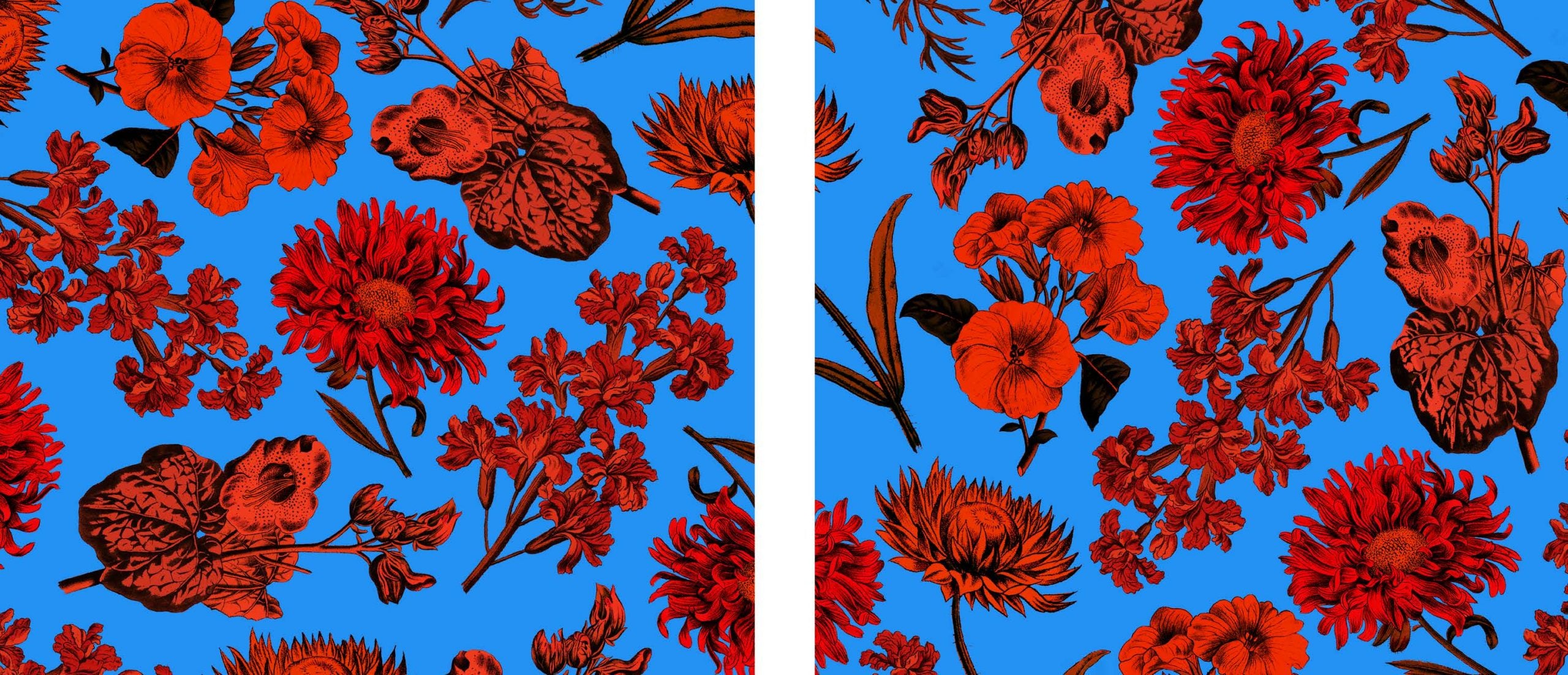 Em busca dos jardins de nossas mães – Bazar do Tempo
