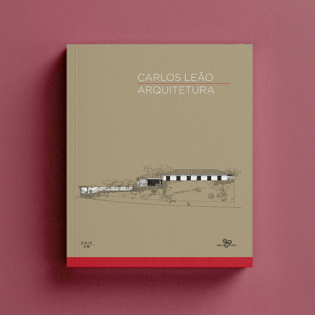 Carlos Leão – Arquitetura