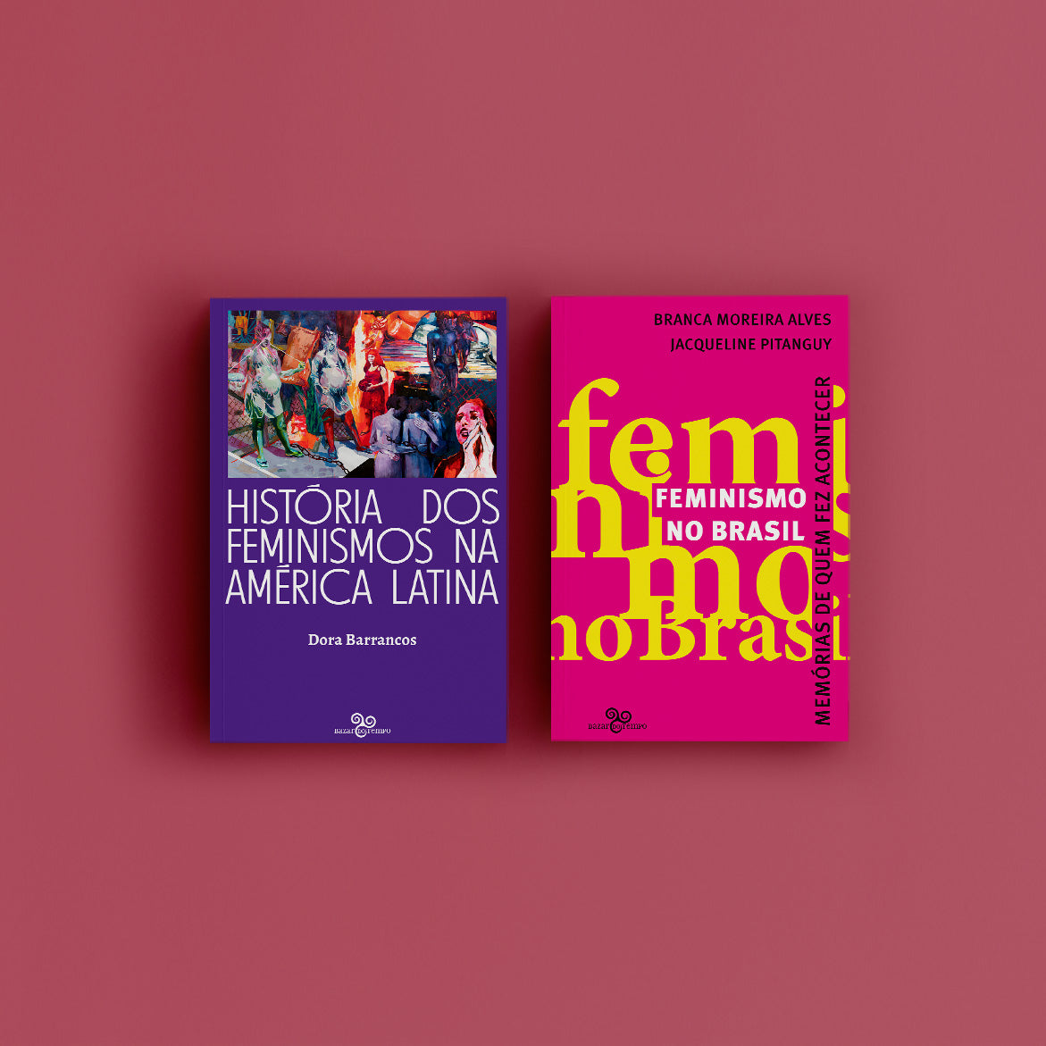 Feminismos na América Latina 