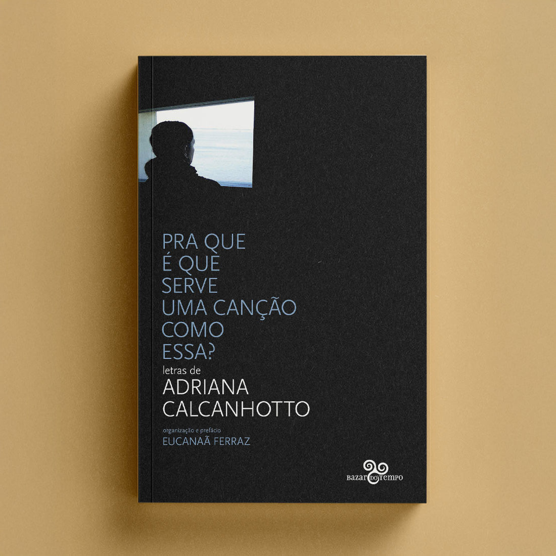 Pra que é que serve uma canção como essa?